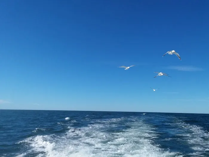 Sturgeon Trailer Harbor Picture 3