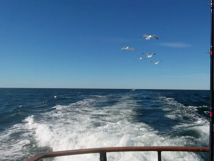 Sturgeon Trailer Harbor Picture 5