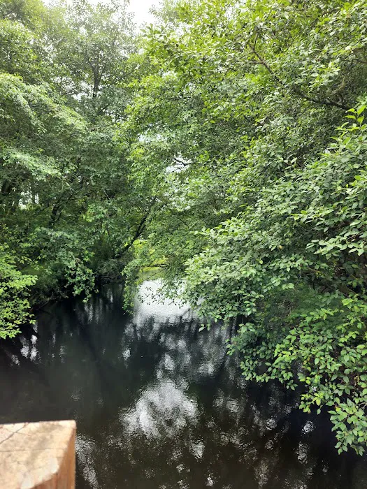 Ocean City RV Resort Picture 5