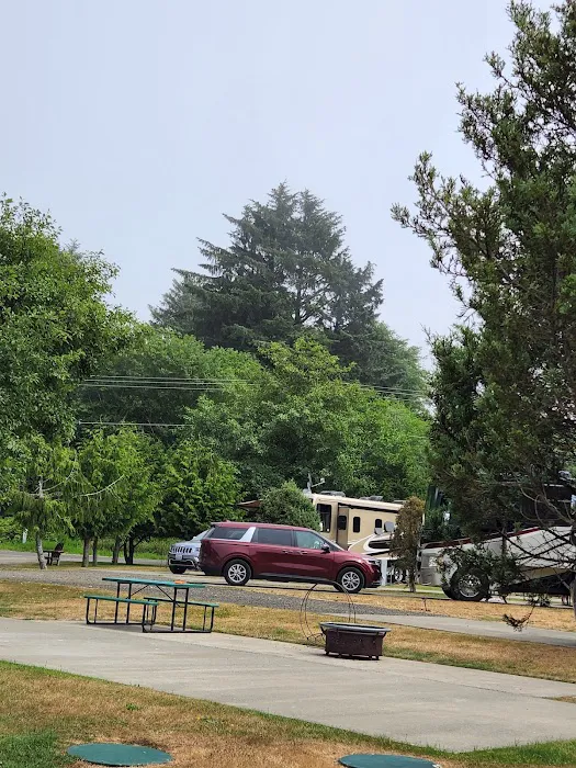 Ocean City RV Resort Picture 9