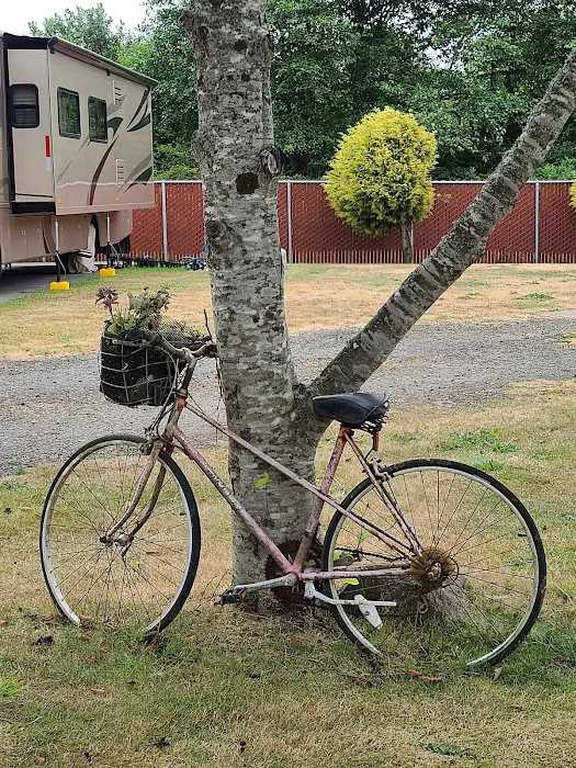 Ocean City RV Resort Picture 10