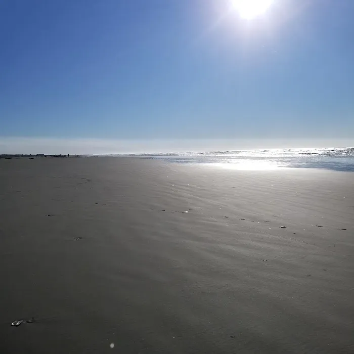 Ocean City RV Resort Picture 4