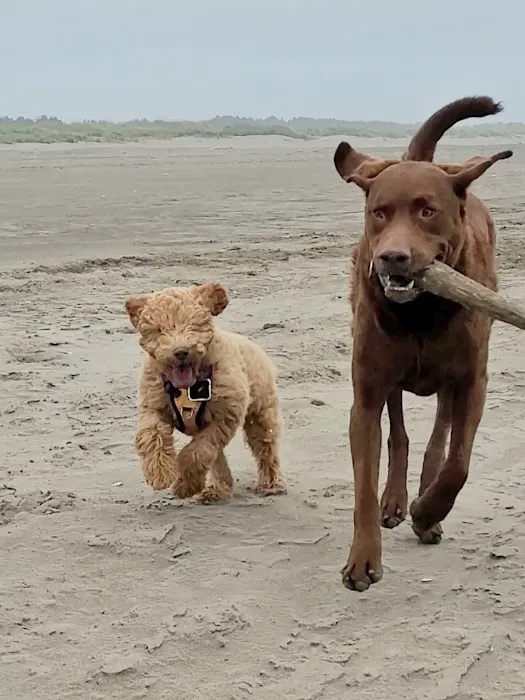 Ocean City RV Resort Picture 6