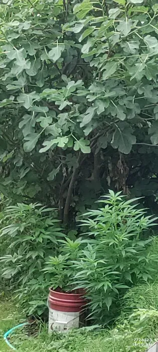 Leisure Manor Estates LLC Picture 1