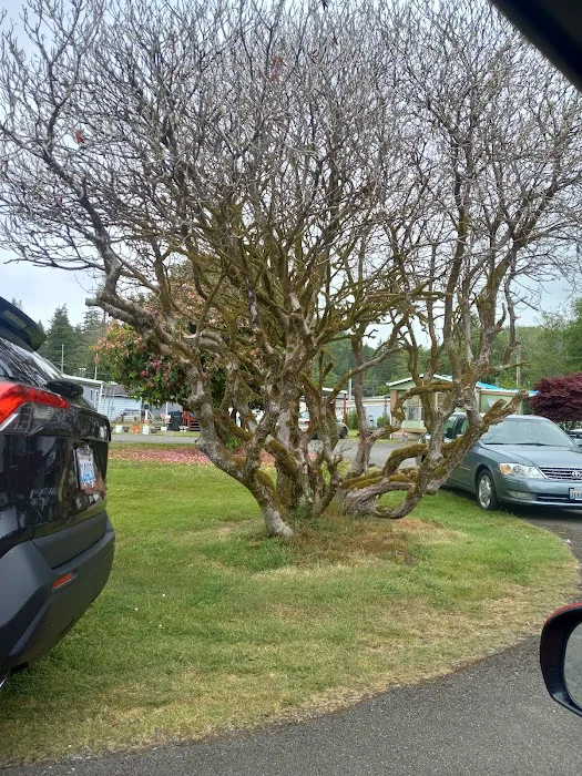 Central Park Mobile Home Community Picture 1