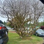 Central Park Mobile Home Community