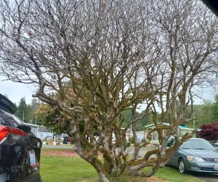 Central Park Mobile Home Community