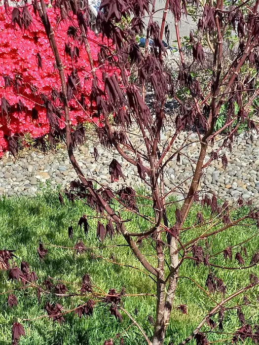 Central Park Mobile Home Community Picture 3