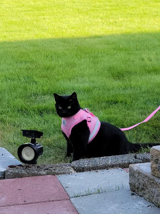 Country Estates Mobile Home Park Picture 2