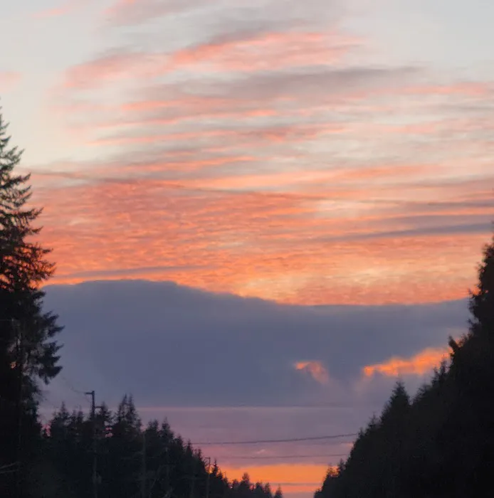 Country Estates Mobile Home Park Picture 1