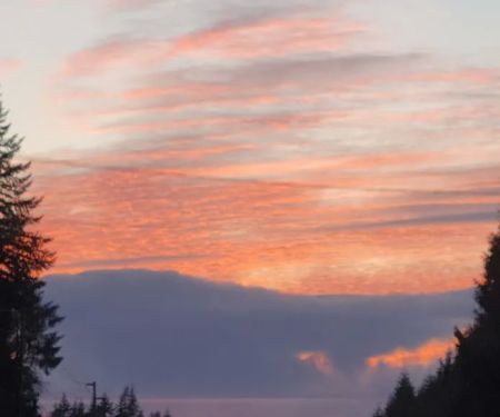 Country Estates Mobile Home Park