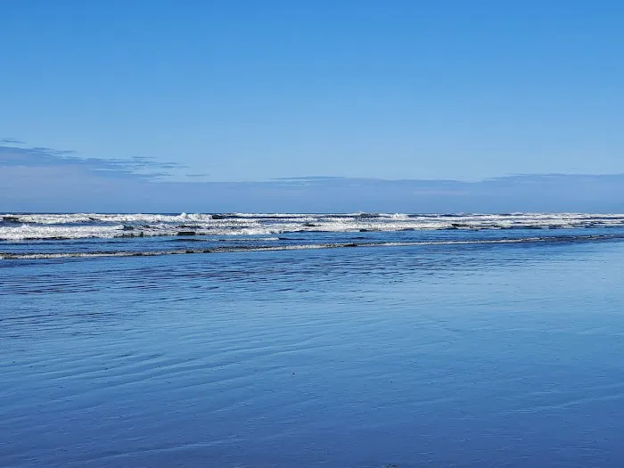 KM Resorts - Ocean Mist RV Resort Picture 4