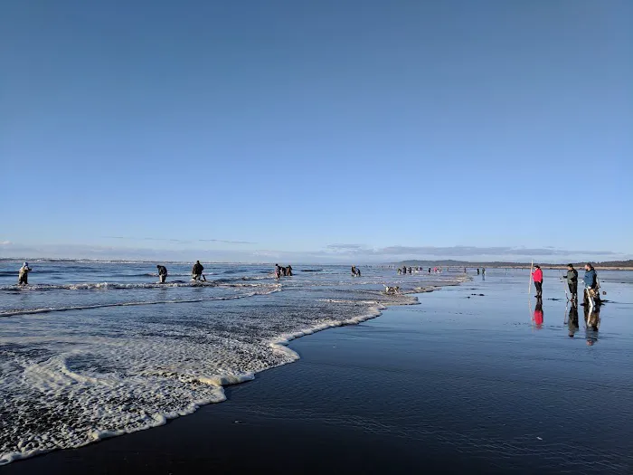 KM Resorts - Ocean Mist RV Resort Picture 2