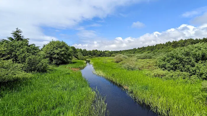 KM Resorts - Ocean Mist RV Resort Picture 6