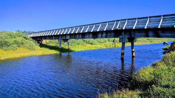 Copalis Beach RV Resort Picture 8