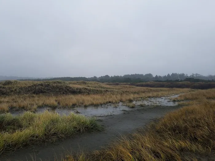 Copalis Beach RV Resort Picture 10