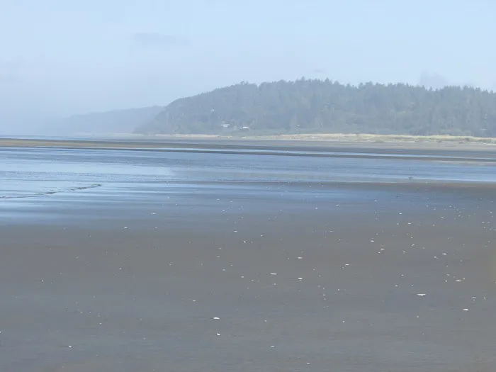 Copalis Beach RV Resort Picture 9