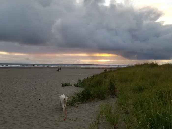 Copalis Beach RV Resort Picture 5