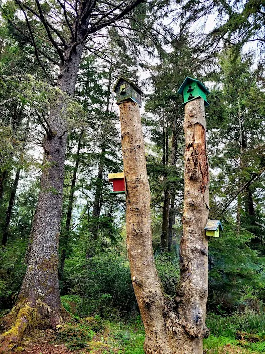 Copalis River RV Park Picture 2