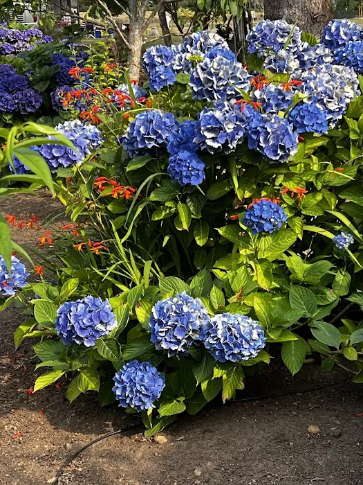 Copalis River RV Park Picture 10