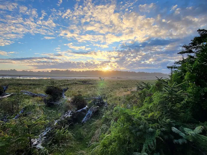 Copalis River RV Park Picture 7