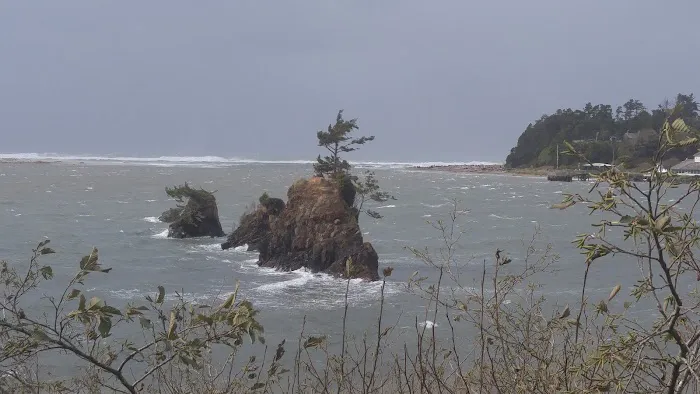 Taft Trailer Park Picture 6