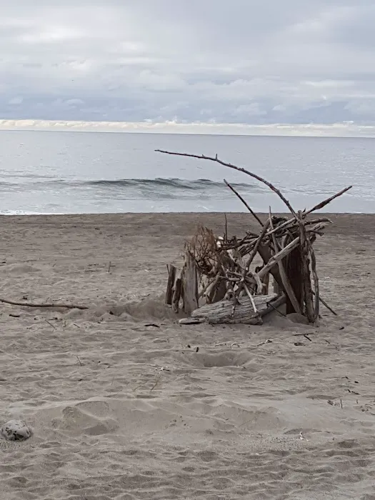 Taft Trailer Park Picture 2