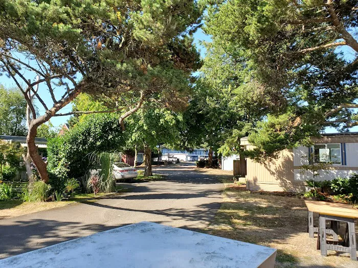 Taft Trailer Park Picture 5