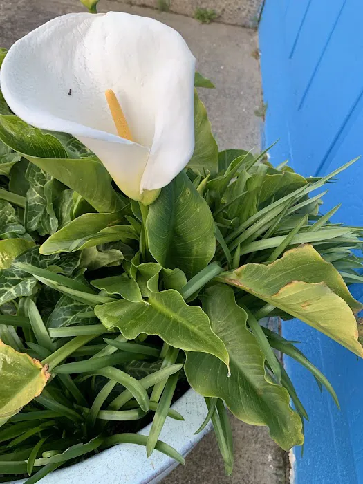 Tree N' Sea, LLC Picture 9