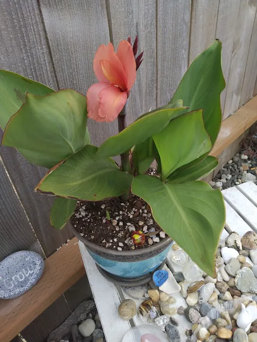 Tree N' Sea, LLC Picture 10