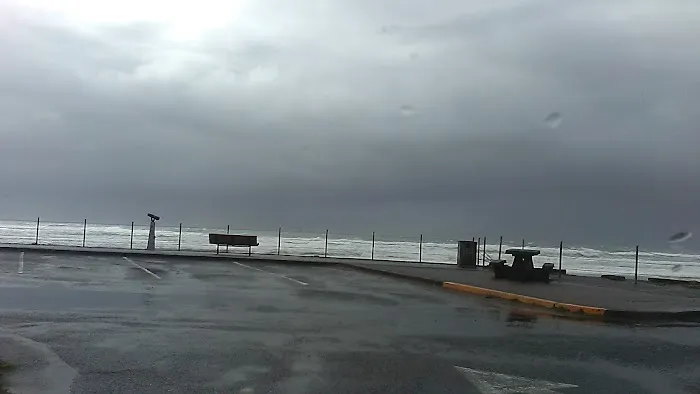 Tree N' Sea, LLC Picture 2