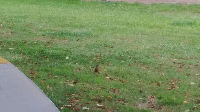 Wapiti RV Park Picture 1