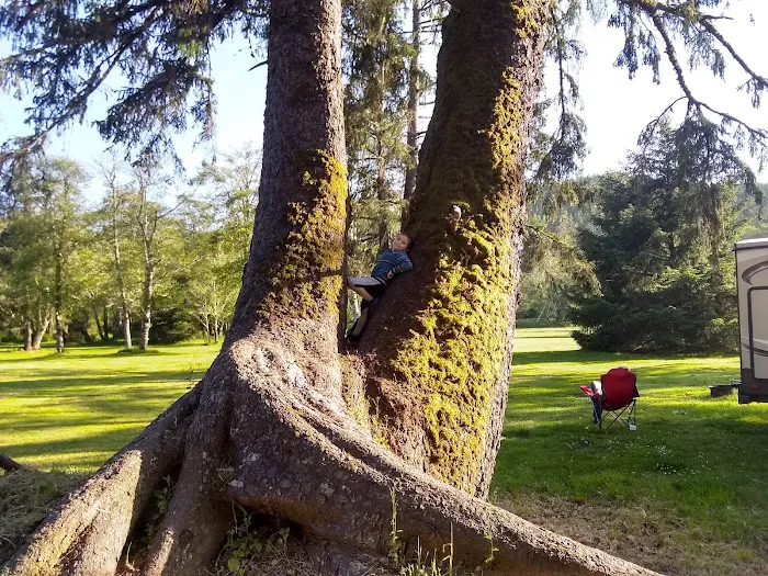 Wapiti RV Park Picture 7