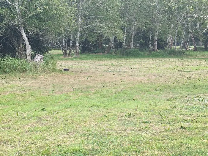 Wapiti RV Park Picture 4