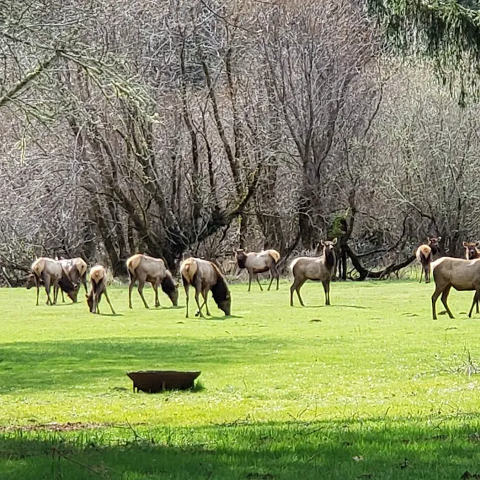 Wapiti RV Park Picture 9