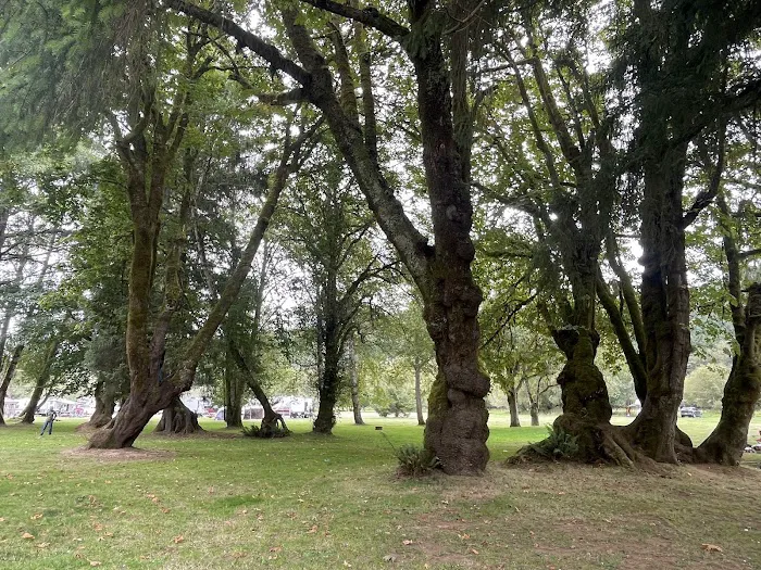 Wapiti RV Park Picture 8