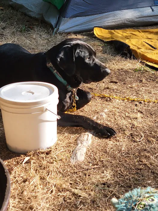 Coyote Rock RV Resort & Marina Picture 2