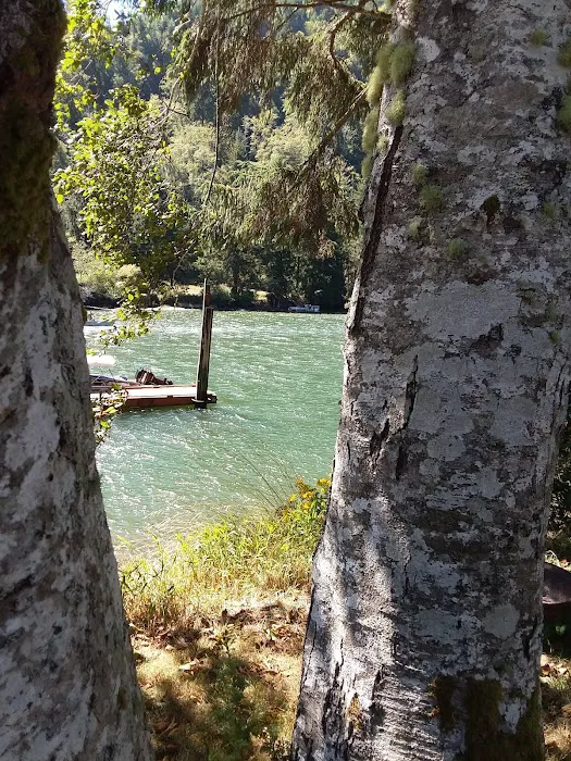 Coyote Rock RV Resort & Marina Picture 8