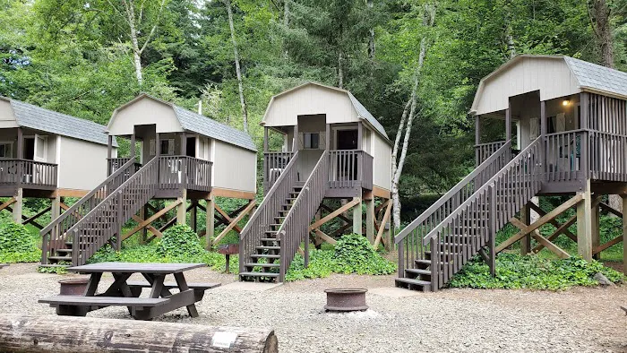 Coyote Rock RV Resort & Marina Picture 5