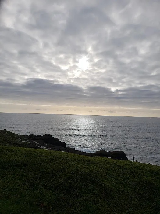 Gleneden Beach RV Park Picture 2