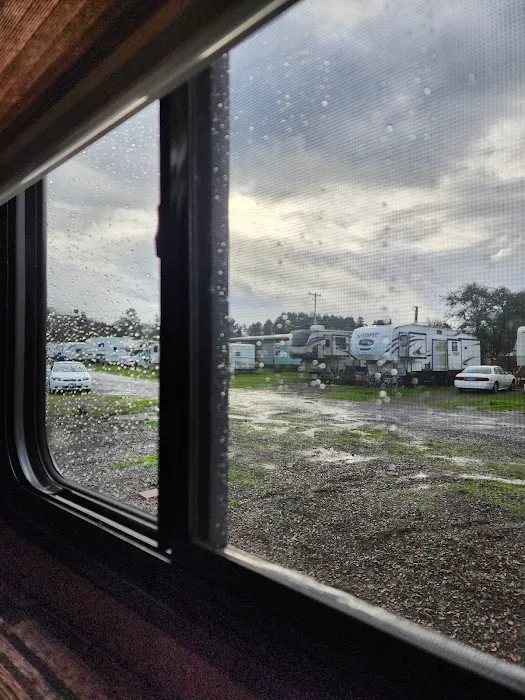 Gleneden Beach RV Park Picture 3