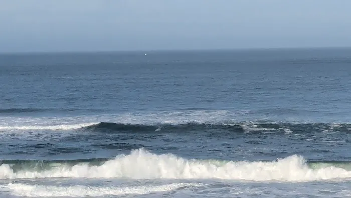 Sea & Sand RV Park Picture 1