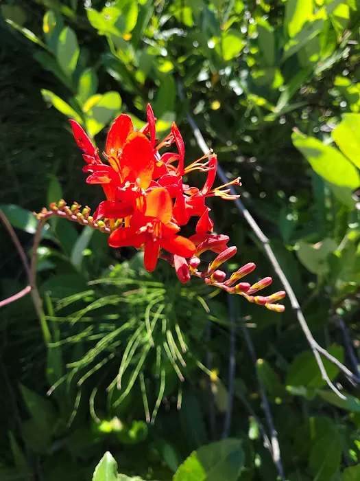 Holiday Hills Trailer Resort Picture 9