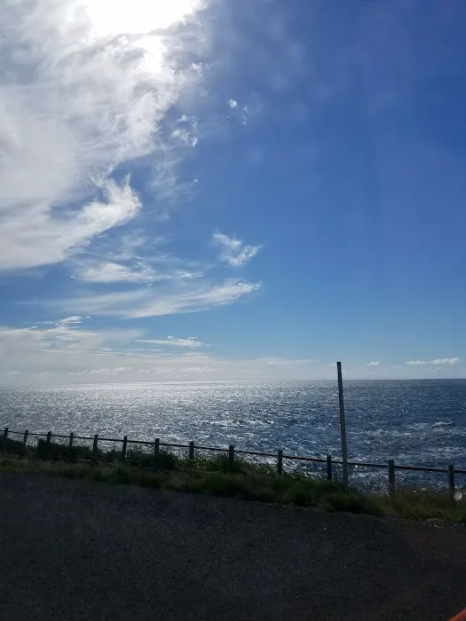 Holiday Hills Trailer Resort Picture 4