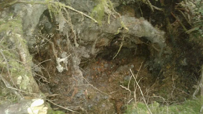 Holiday Hills Trailer Resort Picture 1