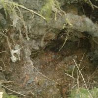 Holiday Hills Trailer Resort ico