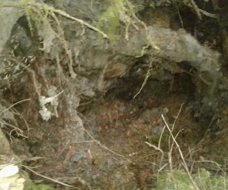 Holiday Hills Trailer Resort