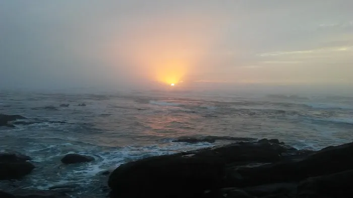 Fogarty Creek RV Park Picture 3