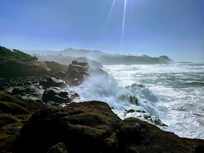 Fogarty Creek RV Park Picture 4