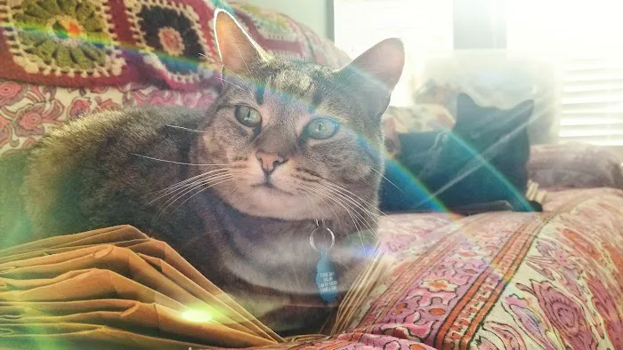 Fogarty Creek RV Park Picture 5